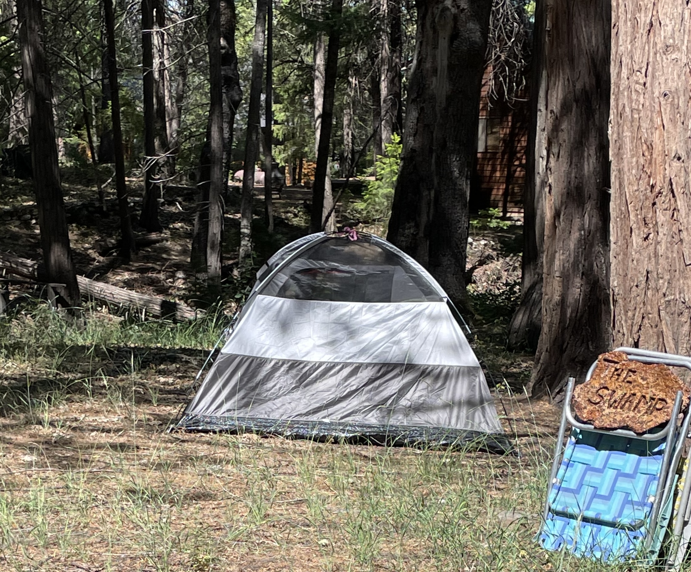 Tent camping in the Dell